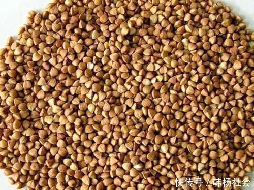天然“胰岛素”终于找到了，蒸米饭时加一点，