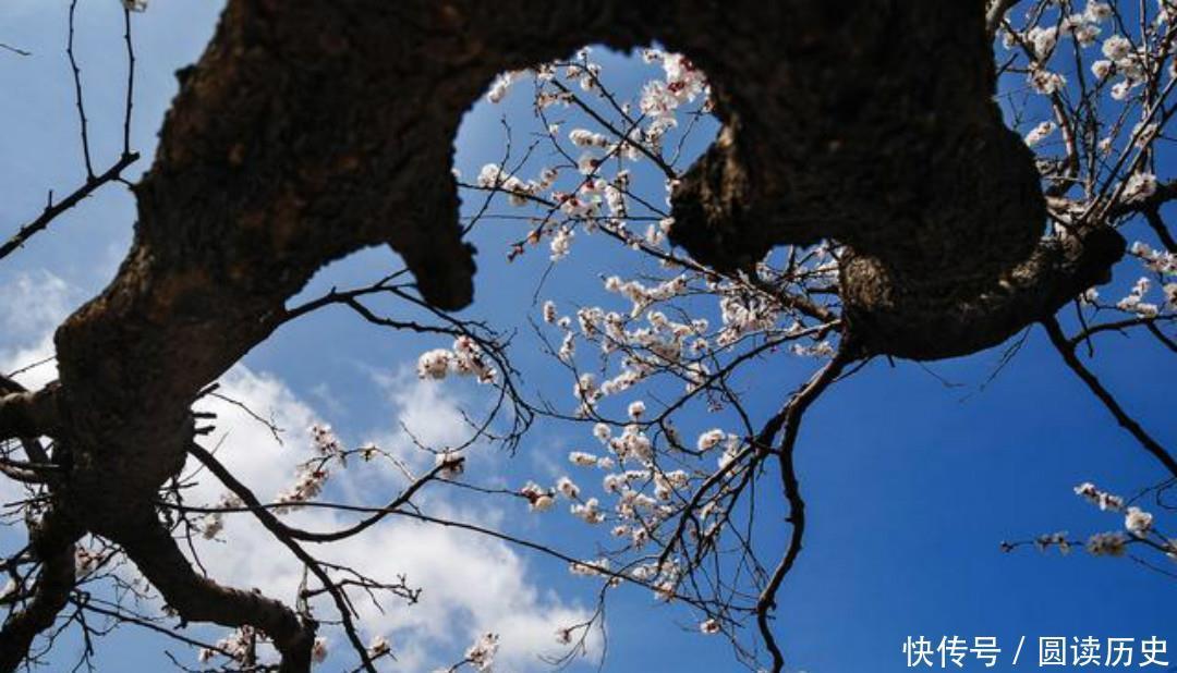 李商隐的诗常常引用典故,只有这首《落花》,全诗纯用白描的手法