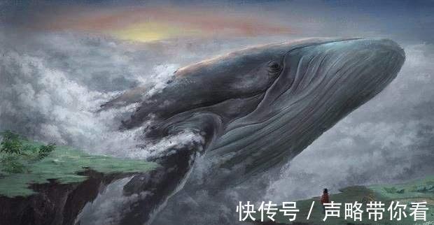 灭族|《斗罗大陆》里极为“悲惨”的五只魂兽，邪魔虎鲸鲨惨遭唐三灭族