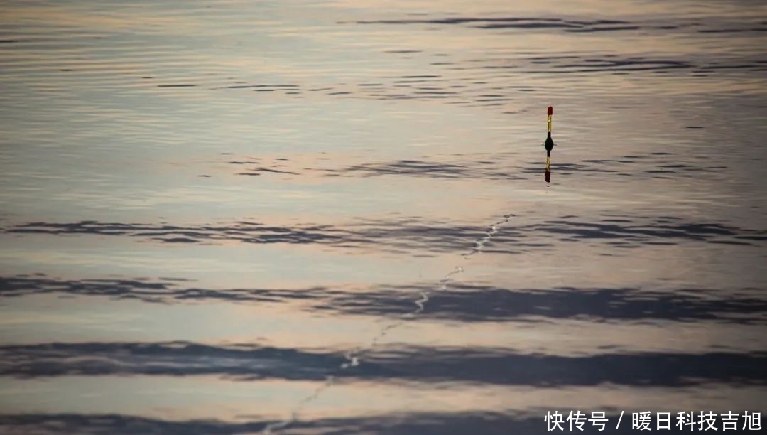 空枪|黑漂提竿不中鱼的 7个原因?最后一个你肯定遇到过