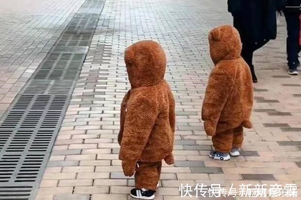 可爱|双胞胎散步偶遇泰迪犬,“撞衫”场面实属尴尬,宝宝这啥情况!
