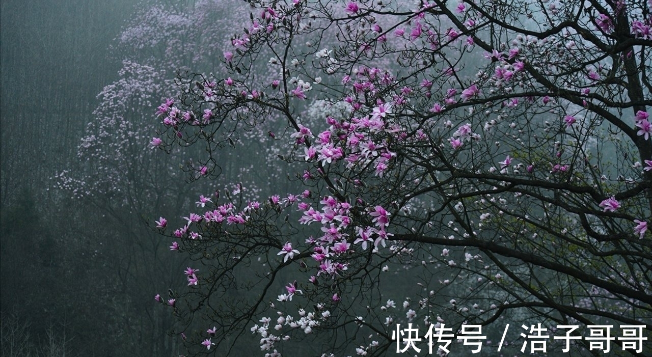 诗人#禅意人生:诗佛王维,九首著名的诗,极富禅意,值得品味、收藏