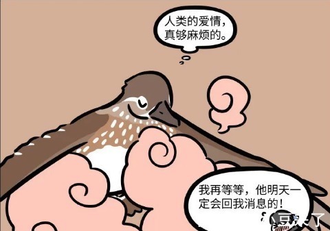 鸳鸯|非人哉:人类爱情太纠结,鸳鸯很不解,难道不累吗?