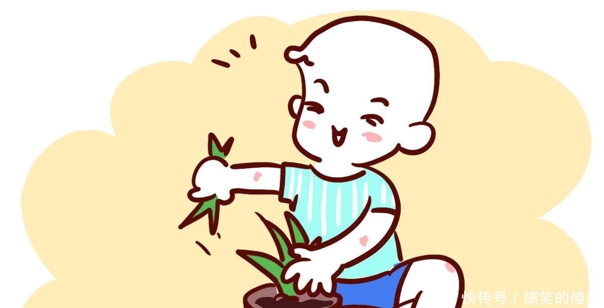 凯洛夫|双胞胎一个被送去国际幼儿园,另一个上普通幼儿园,差距有多大!