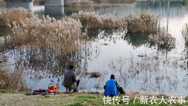 山东一河流入海口成天然黑坑,钓鱼人蜂拥而至,鱼获到底怎么样?