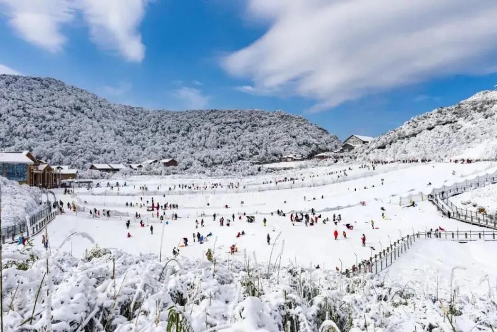 1小时飙拢！去重庆看雪！云海雪山森林，下山还能泡温泉！