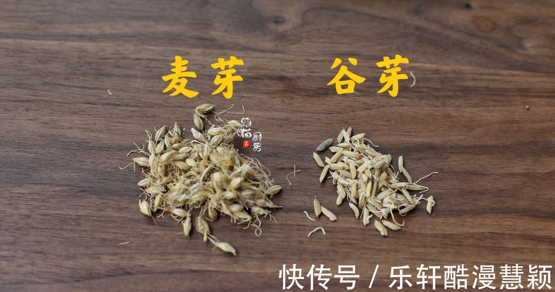 谷芽|立秋后,鸡胗和它们一起煲汤,消食健脾助消化,孩子吃饭香不挑食