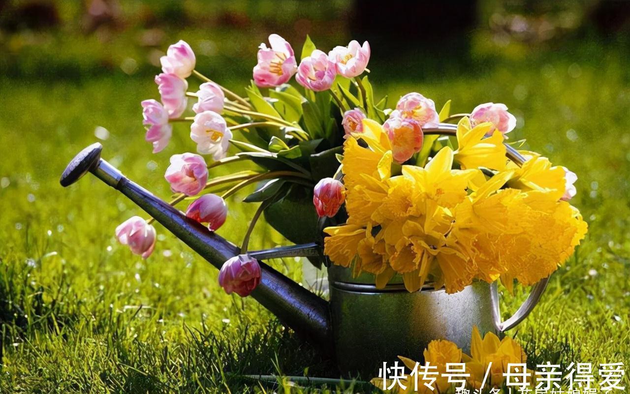 养花重在养根，养好根系要让盆土达到理想状态，关键是要配合平衡