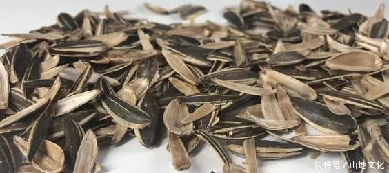 君子兰长势差,都怪盆底没有养花肥,两种料加进去呼呼长新叶开花