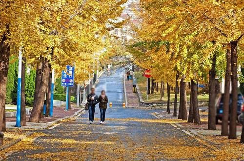 “部部共建、部省合建、省部部共建……”选大学，请认清这些标签