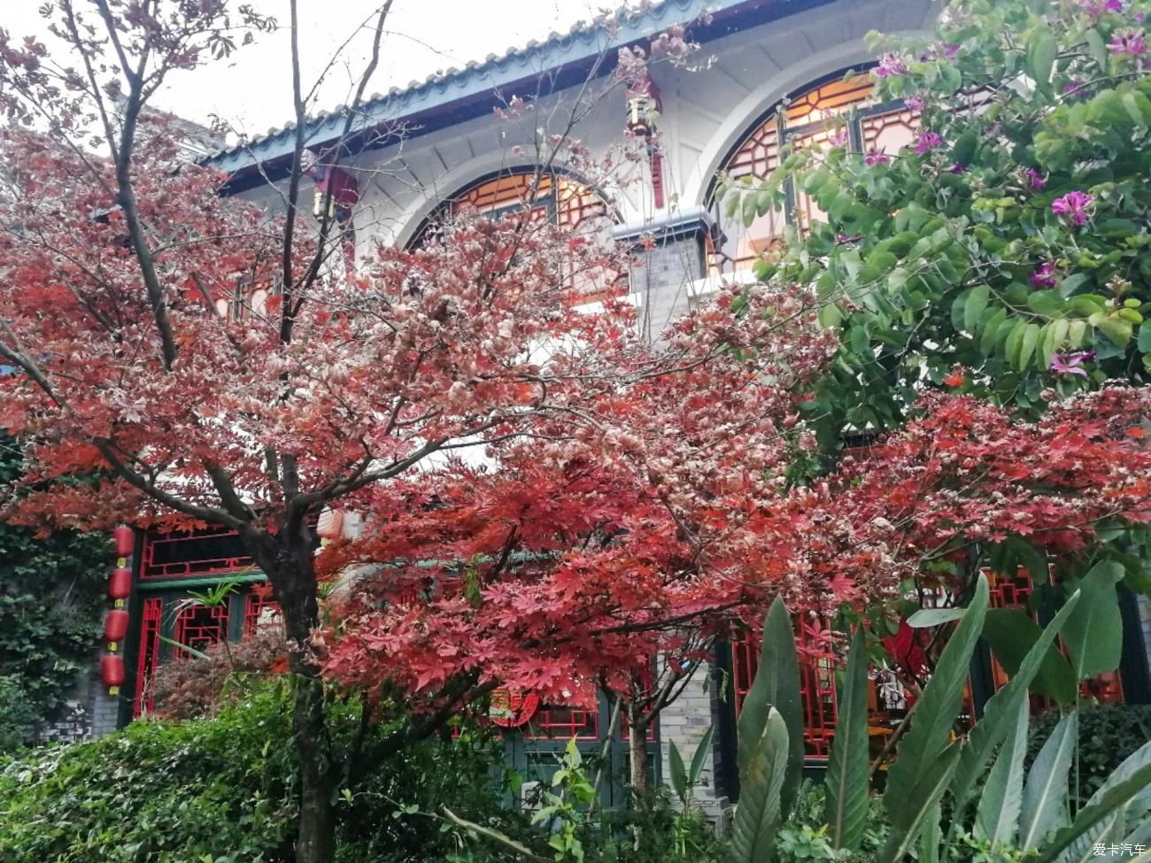 老年|惠里古镇走一走感受山水田园