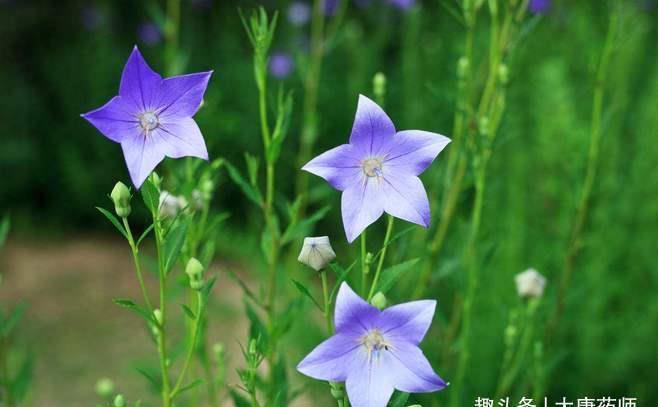 脚臭|老中医告诫：夏天，身体出现这6个症状，不是病，根本不用治！