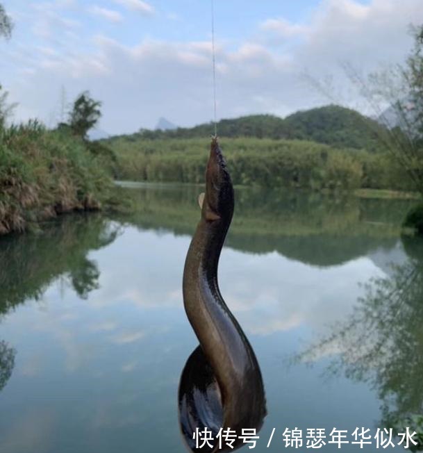 这几种渔具不要买,因为他们赚了你的钱还把你当傻瓜,记牢了