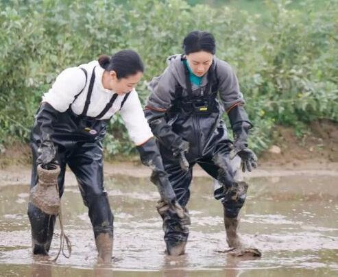 黄磊做饭究竟是个什么水平!那英给出正确评价,却破坏了节目氛围