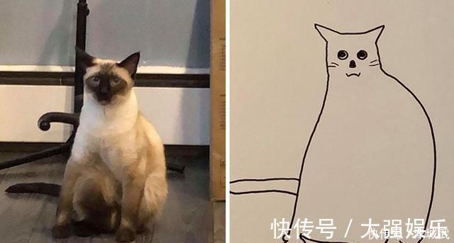 杰伊#他因画画水平“太烂”,反而成为网红,把巨石强森画成一块石头