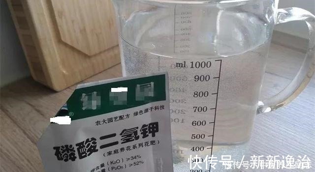 复合肥|养花必备“3种肥”，啥花都能用，每月花盆撒一点，嗖嗖爆盆！