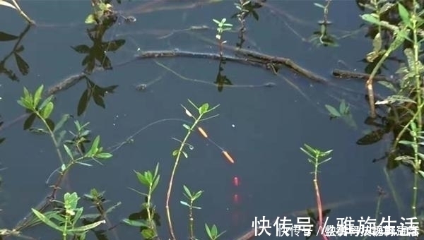 鱼钩|七星漂钓组的搭配和调漂技巧，野钓鲫鱼最靠谱钓法，钓鱼人必学