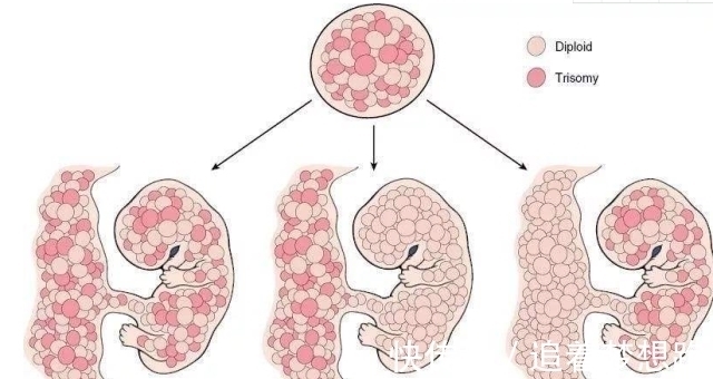 DN爸爸是独生子,儿子的DNA却是“叔叔”的?医生告知原因全家慌了