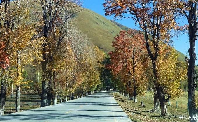 老年|最后的香格里拉-稻城亚丁之旅