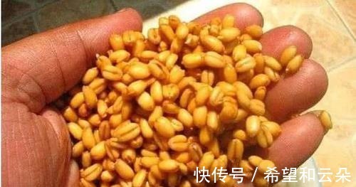 红糖水|红糖加麦粒,再加这一步骤,小鱼闹窝也有大鲫鱼开口!