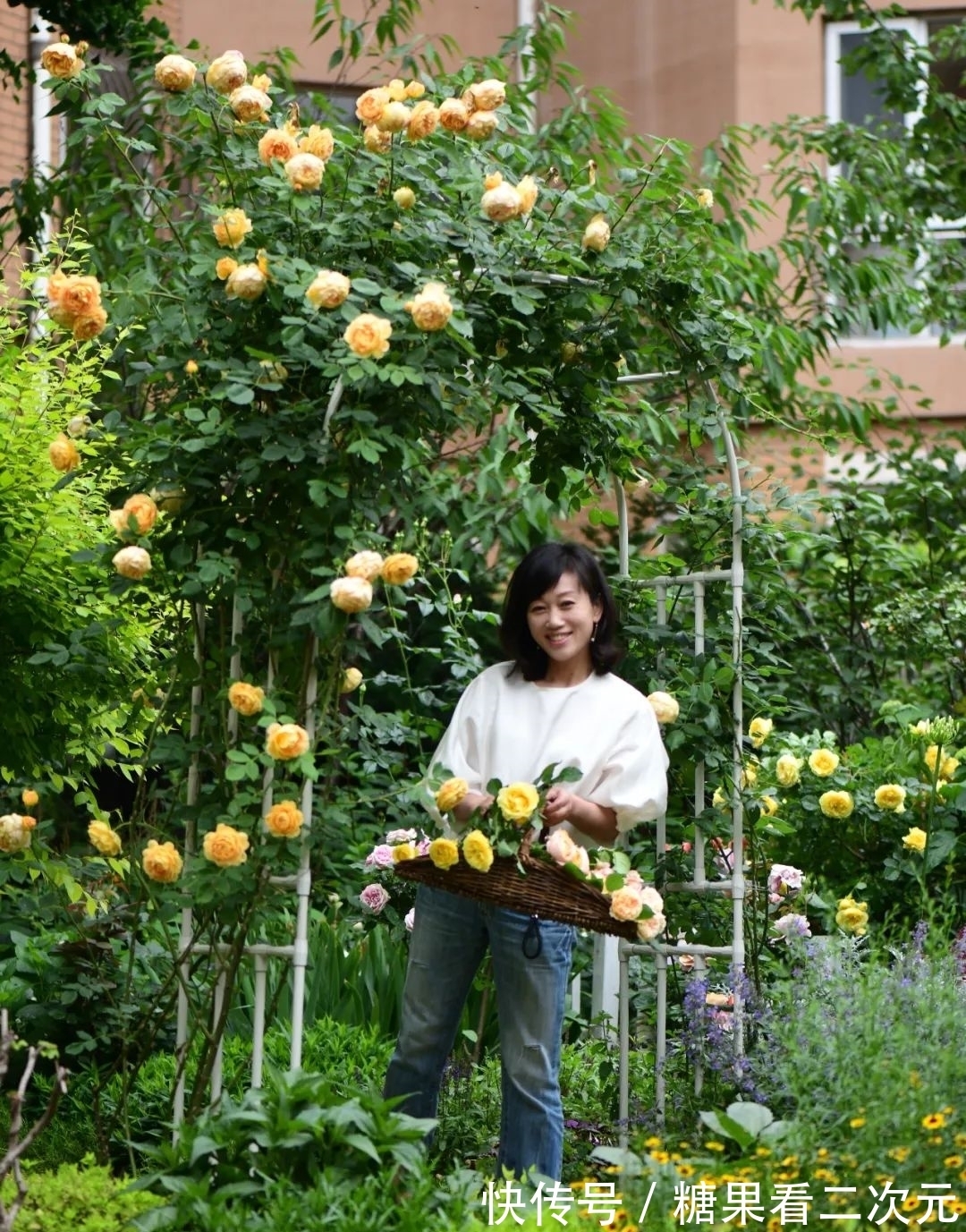 王俐|服装设计师兼花园设计师，裁剪最美的花园时光