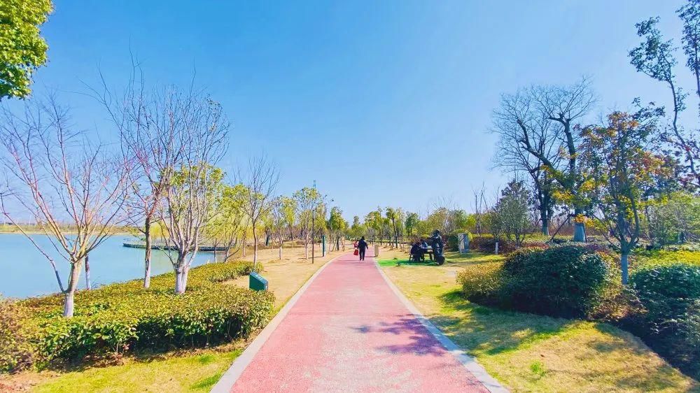 老年|春暖花开!阜城第一波春色来啦~