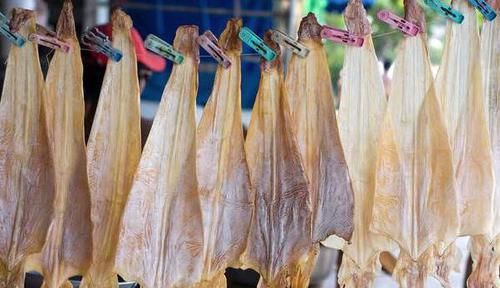 干鱿鱼只用水是泡不软的，老渔民教你一招，泡得又快又新鲜