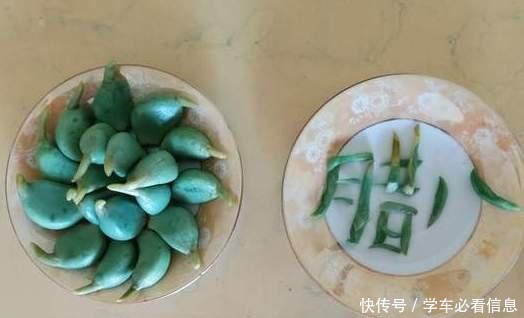 腌腊八蒜,用米醋还是陈醋做对这一步,大蒜个个翠绿又好吃!