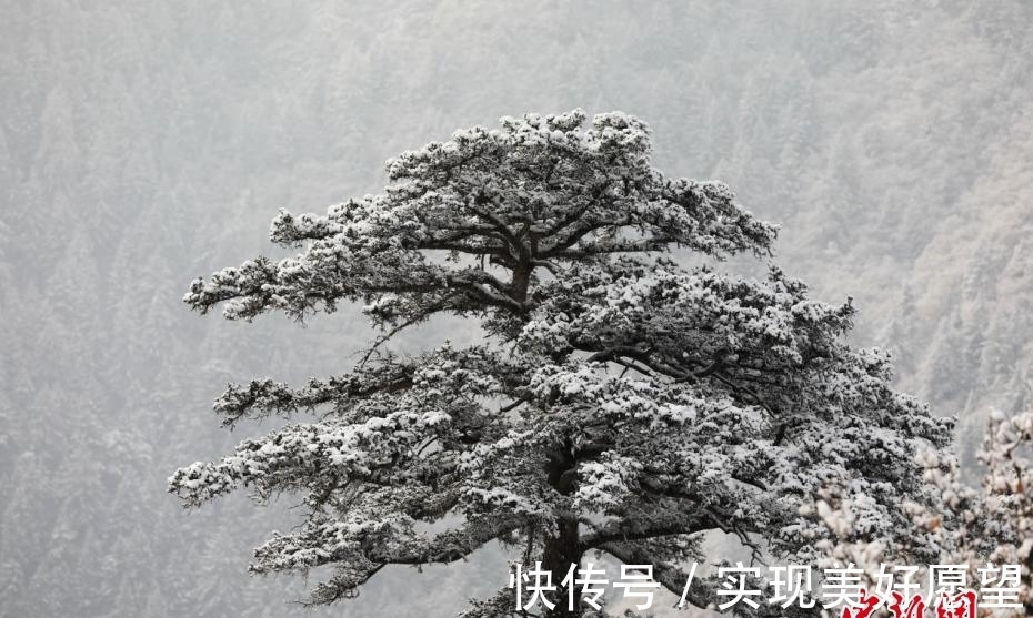 陇右名山|“陇右名山”变“雪山” 飘渺似水墨丹青