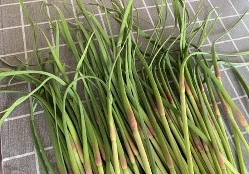 蒜苔|买蒜苔时,挑粗的还是细的好老菜农说漏了嘴,以后别乱买了