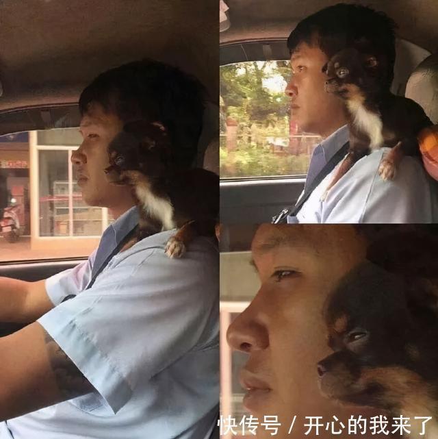 |希望有个人能看透我不是真正的快乐 冷段子1614