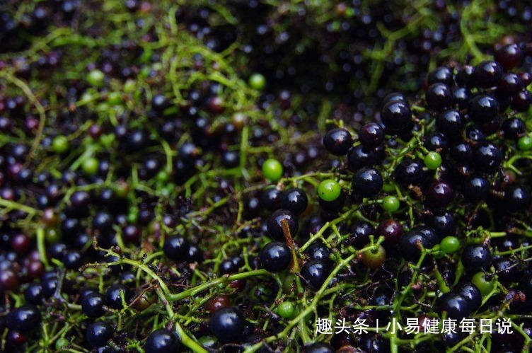 祛风|立秋后,晚上当零食吃一把,清热解毒,祛风除湿,常食更显年轻