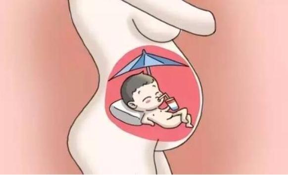 dh胎儿从这月进入“猛涨期”,大脑和身体都在飞速发育,注意补营养
