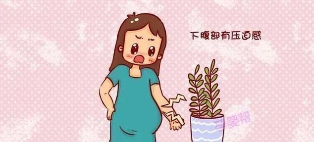 临产|孕妈身体这个部位消失,那就说明快生了,别傻等预产期