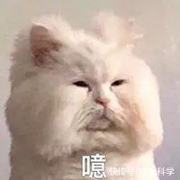 沙雕|这几个手扛激光的中二日本人，做出了动漫里打开就发亮的魔法书