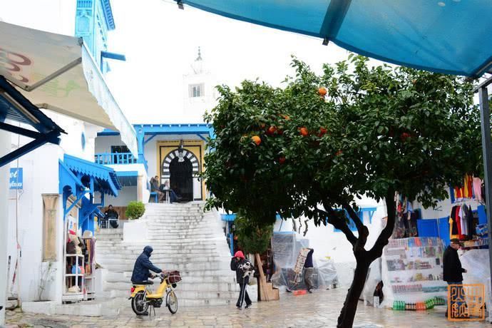 春雪|非洲最梦幻蓝白小镇,在草席咖啡馆抽水烟喝甜茶,这里的惬意不输圣托里尼