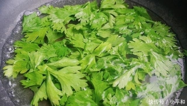 营养|这个菜叶被很多人扔掉, 用它做早餐饼, 省事好吃又营养