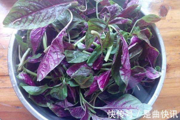 苋菜|夏天宁愿不吃山珍海味还要吃的4种野菜,不仅养人,还有许多好处