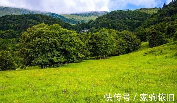 幸福|往后6天，旧爱离去，良缘天降，旧情缱绻，续写前缘，幸福永远