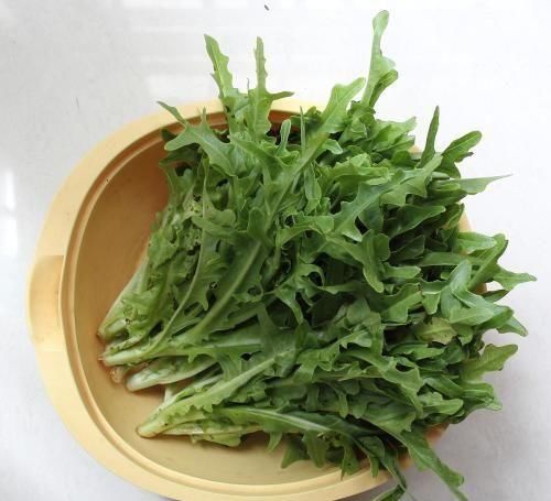 對身體很不錯的幾種食物，營養豐富，健脾暖胃，愛吃就賺了！