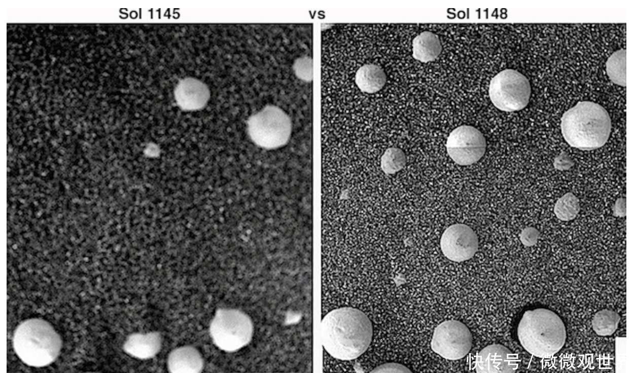 生命 科学家官宣!疑似发现火星蘑菇,我们离外星生命近了吗?