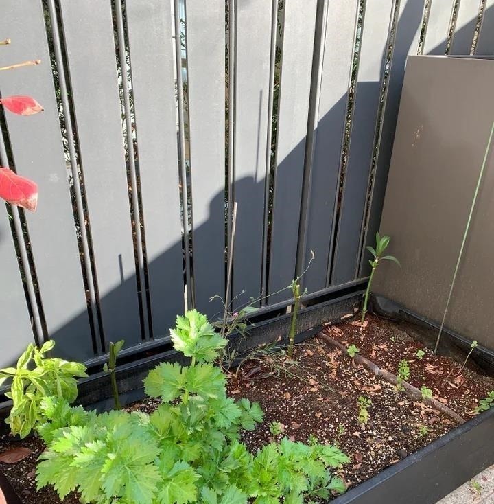 洋房|建筑师执着于10年老洋房,110㎡三层没有客厅,星空露台!爽快极了