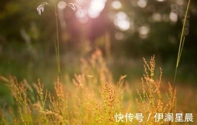 水瓶座|7月，喜鹊徘徊，相逢真爱，缘分归来，真情相拥，从此破镜重圆