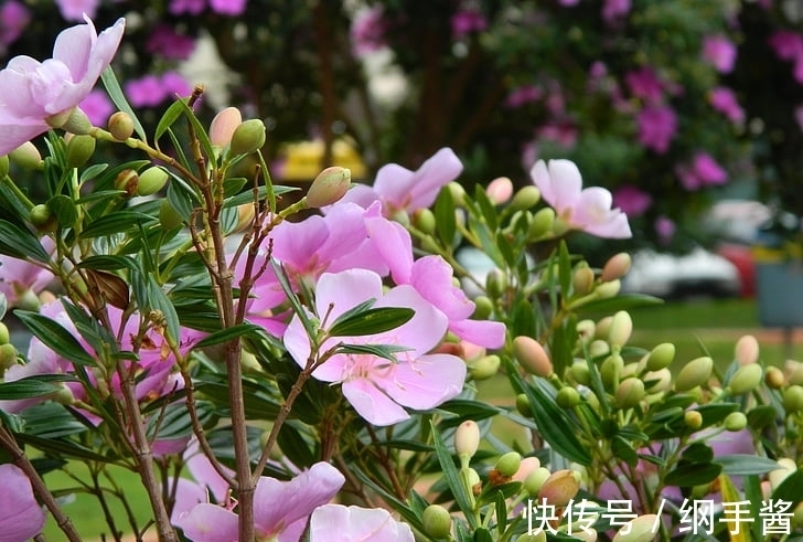 事业|1月中旬苦尽甘来,事业一路飞升,容易发财的3大生肖