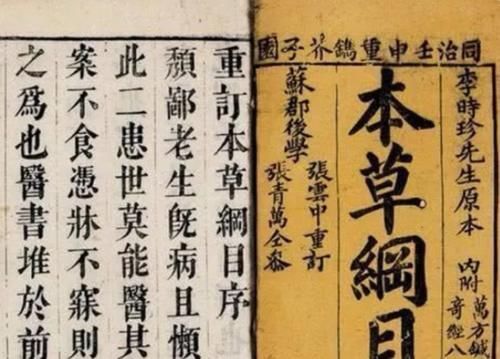 本草纲目|李时珍称它为天然阳气药,建议多吃一点,不妨尝试一下