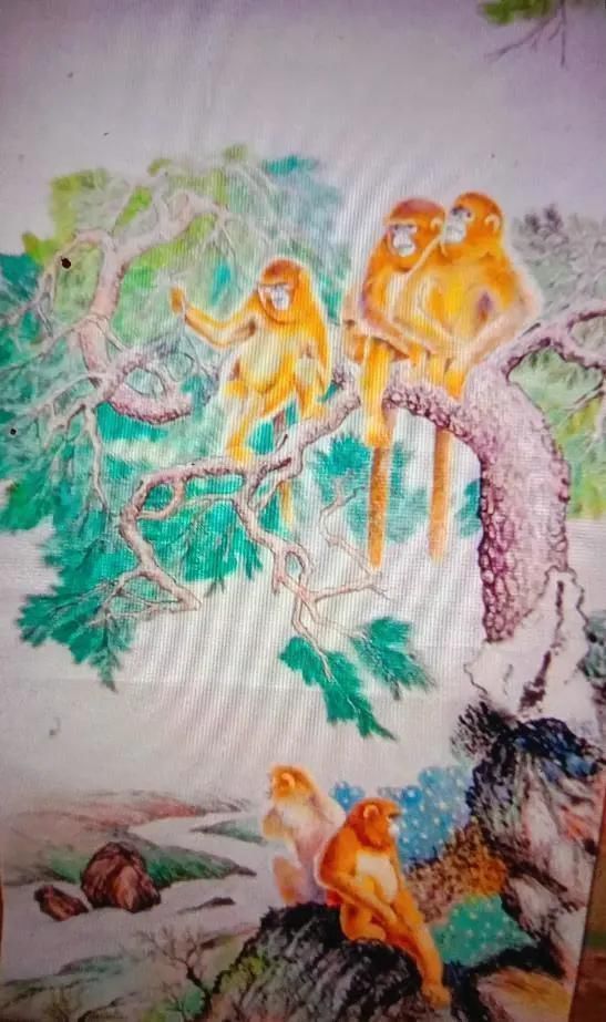 卓克堂!中国当代美术爱好者—洪菊香、赵亚军、卓克堂、洪玲、郭铃、马振龙、王婷等