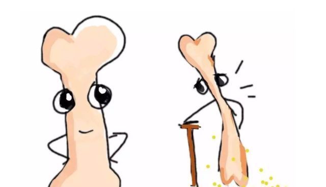 维生素d|燕麦是骨质疏松的“发物”?医生:若想养护骨骼,2种食物要少吃