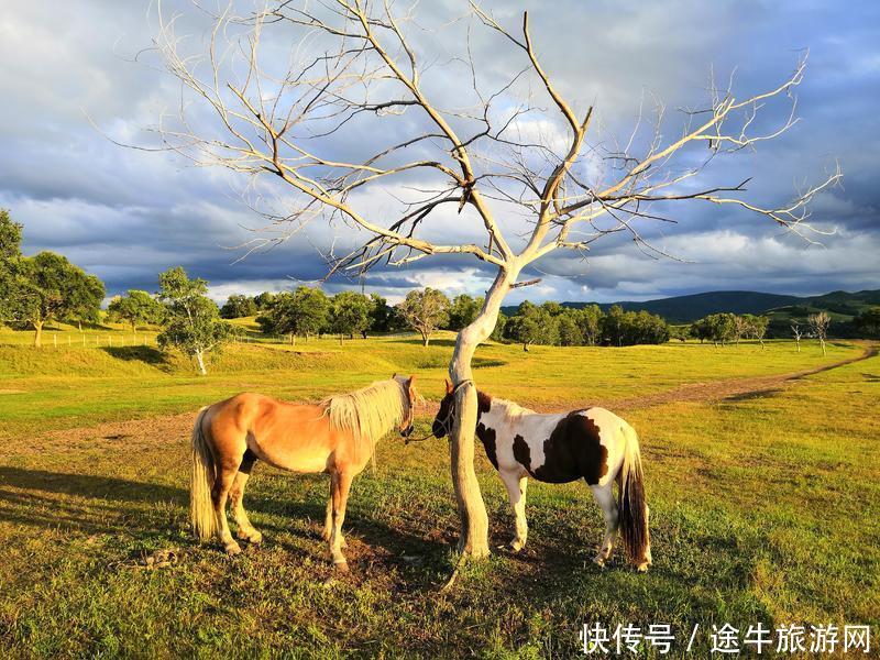 美丽的锡林郭勒大草原，最纯正的蒙元文化，最原始的游牧牧场