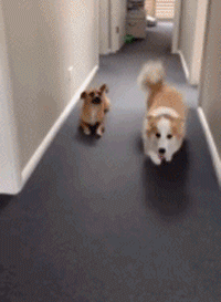 |搞笑动图:小兄弟:不要悲伤,人生的路还很长啊!