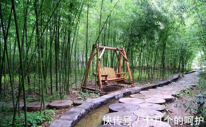 在农村院子里适合种植这五种树,养人镇宅!